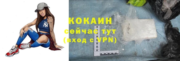 дживик Алзамай
