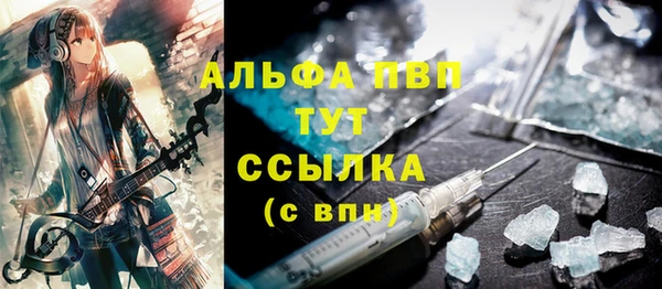 СК Алексин