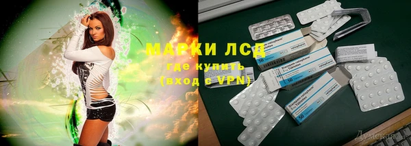 СК Алексин