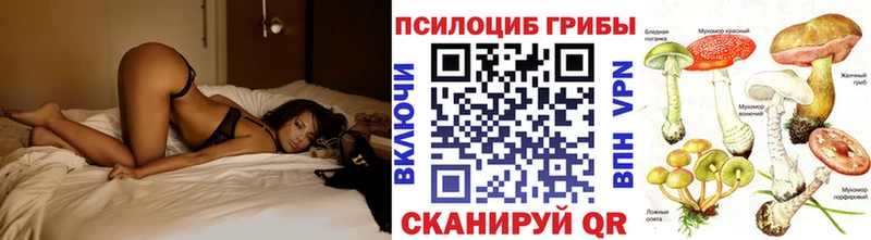 Псилоцибиновые грибы мухоморы Алзамай